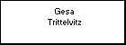 Gesa Trittelvitz